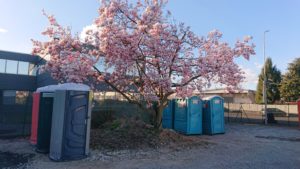 Noleggio Bagni Chimici Novate Milanese Noleggio Bagni Chimici Novate Milanese